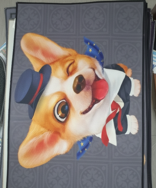 3D Visual Quick-Dry Diatomite Floor Mat – Super Absorbent Anti-Slip Magic Rug