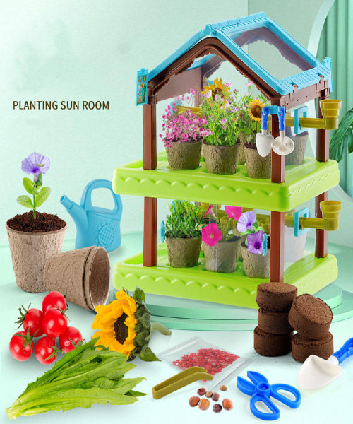 Plant Grow Sun Room – Science and Education Discovery Kit